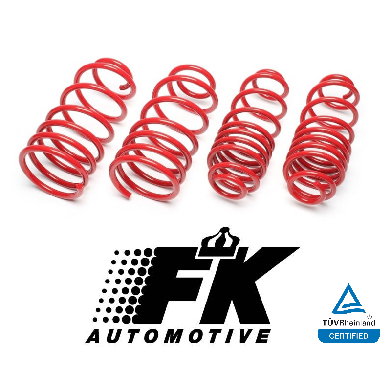 BMW 1 Series F20 F21 Lowering Springs 40mm