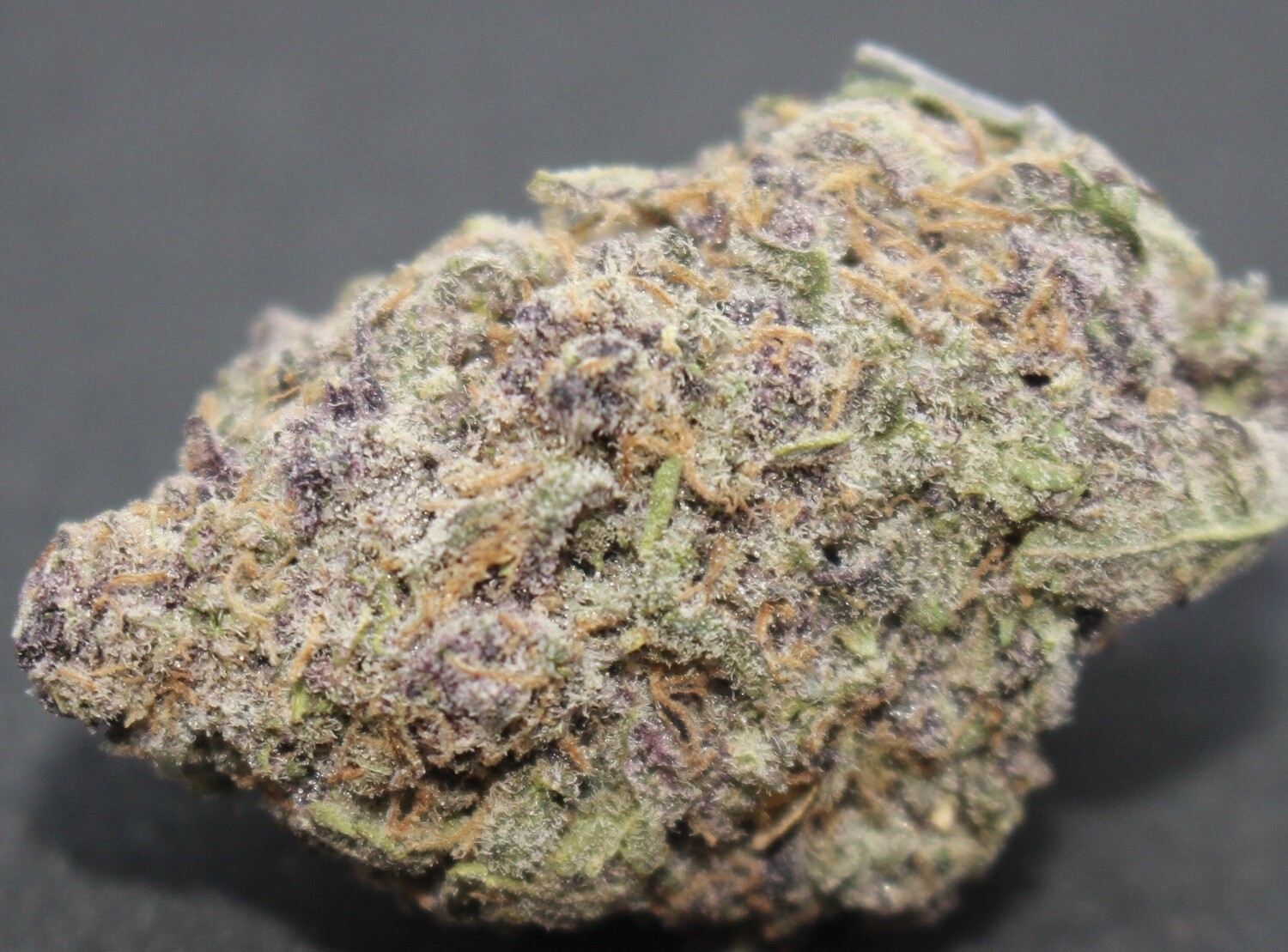 Blueberry Muffins X Mac X Lemontree Qty 5 Regulars