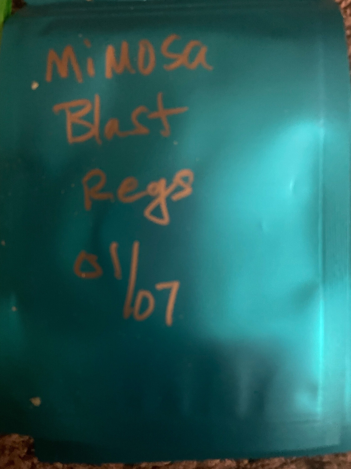 Mimosa Blast 5 Regular Seeds /7 Very Limited