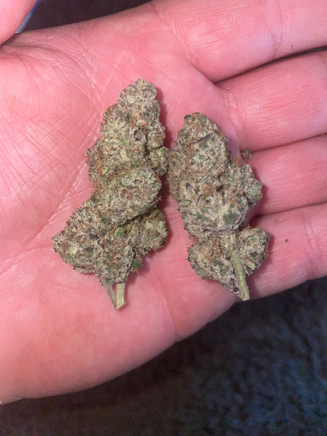 Pancakes X (Strawberry Fritter x Zkittlez) Qty 5 Regulars /5