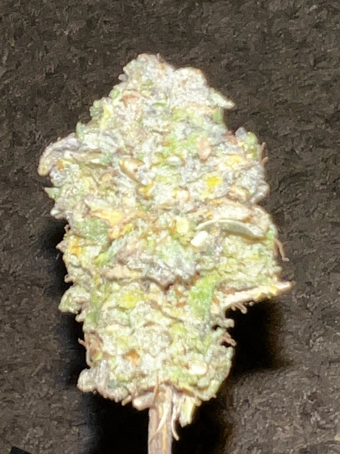 SPECIAL Poisonous Grapefruit (grapefruit Og X Venom Og)