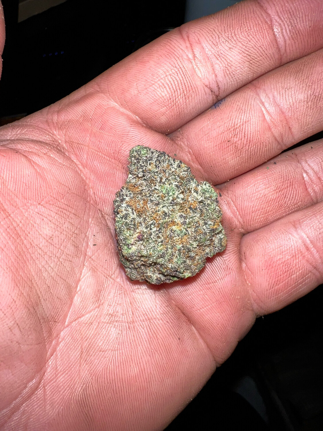 Georgia Pie X Very Cherry Qty 5 Regulars