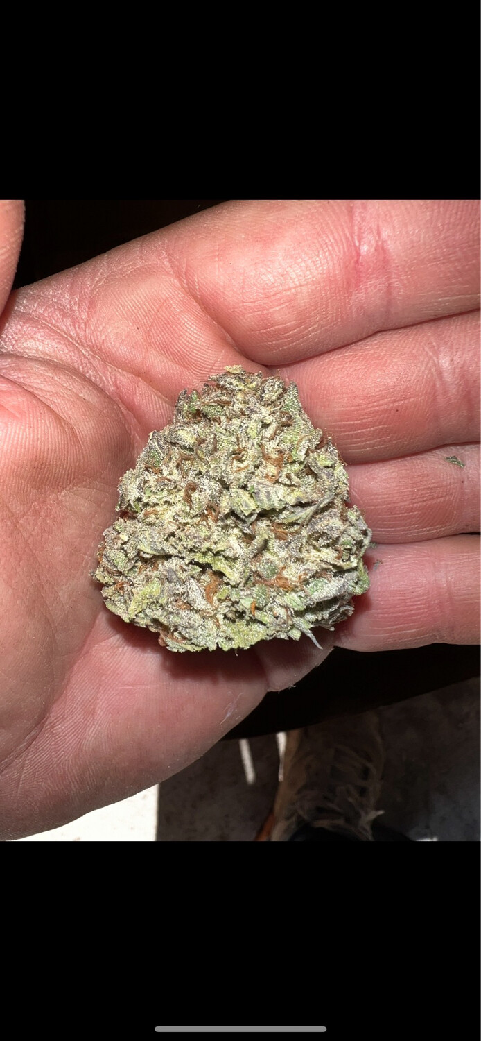 Dantes Inferno X (kush Mints X Wedding Crasher s) Qty 5 Regulars /10