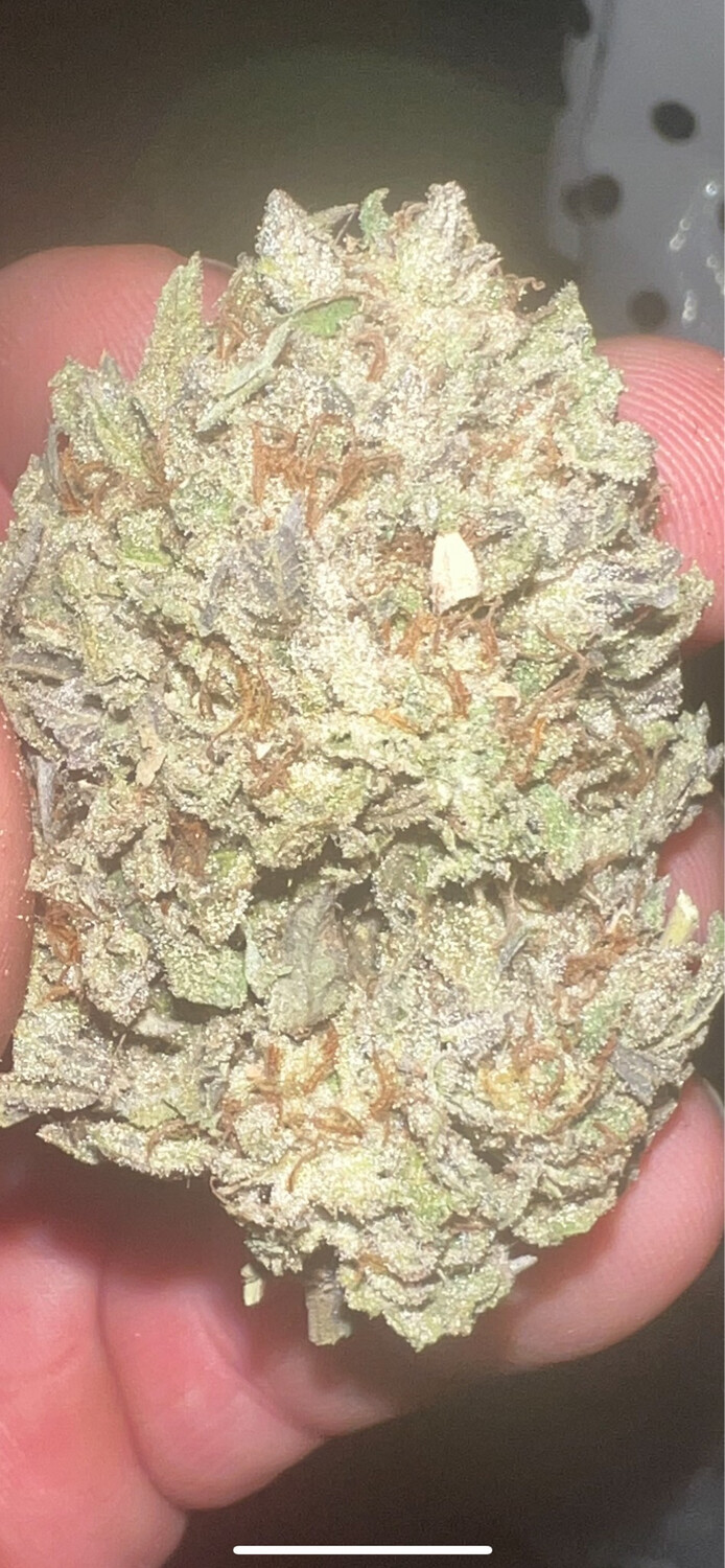 Zlushiez X Pineapple Sorbet Qty 5 Regulars