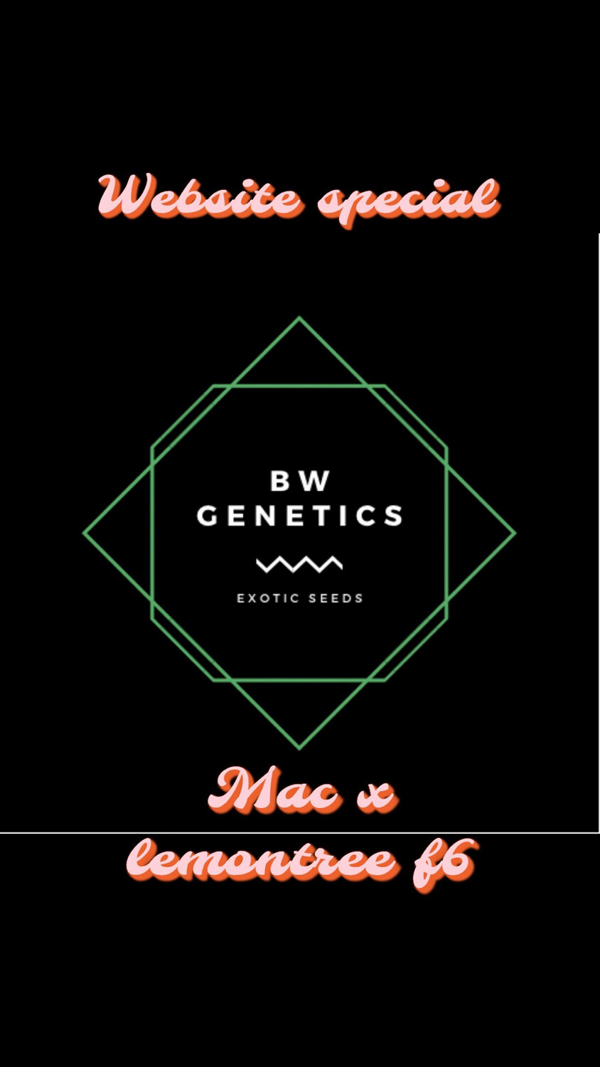 Website Special : Mac X Lemontree F6 Regulars Qty 5