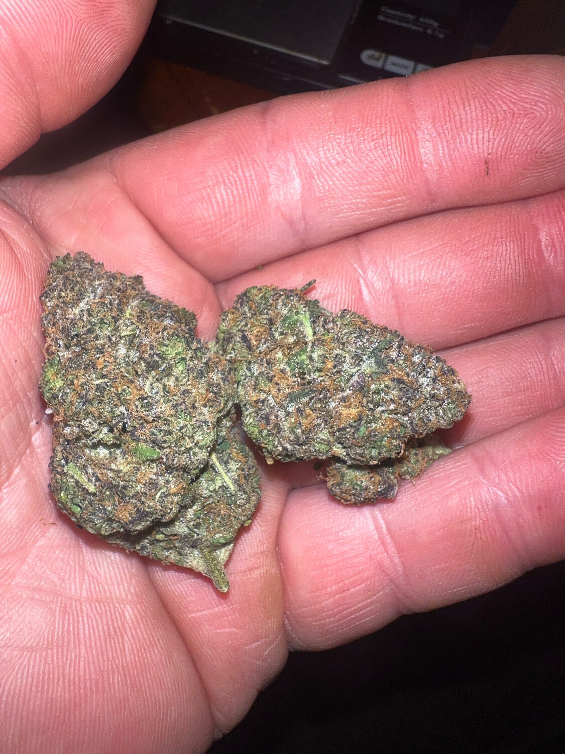 Scooby Snacks F3 X (rocket Fuel X Açaí Sherbet) Qty 5 Regulars