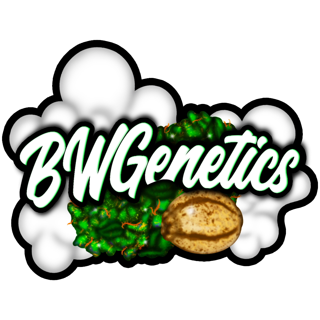 Feminized Special Qty 5 Bogo Not Applicable