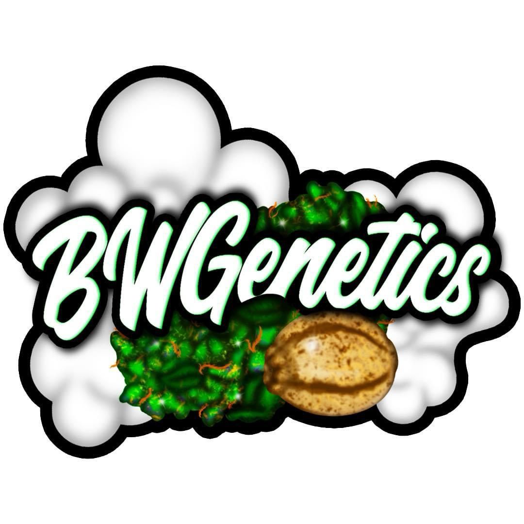 Project 51 X Iced N Baked Auto Feminized Qty 5 BOGO Not Applicable