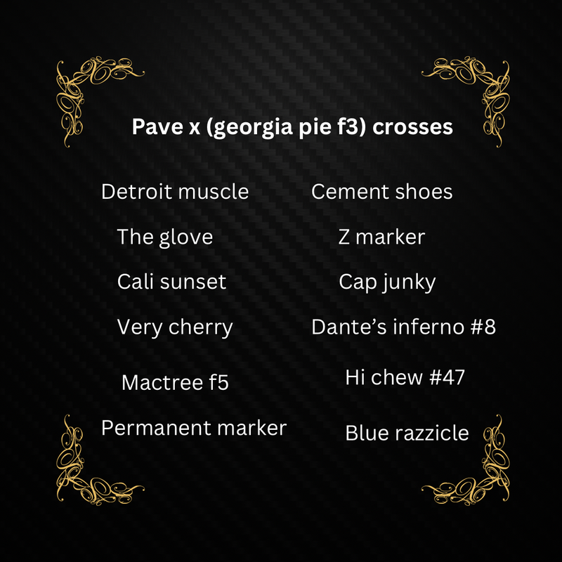 Pave X (Georgia Pie F3) Crosses Qty 5 Regulars