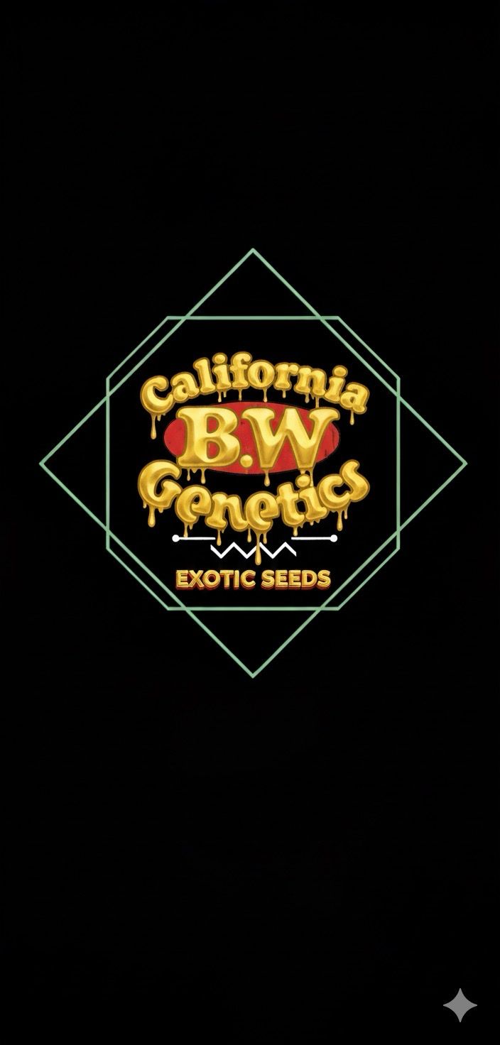 Slurricane X Black Magic Fem Qty 5 BOGO NOT APPLICABLE