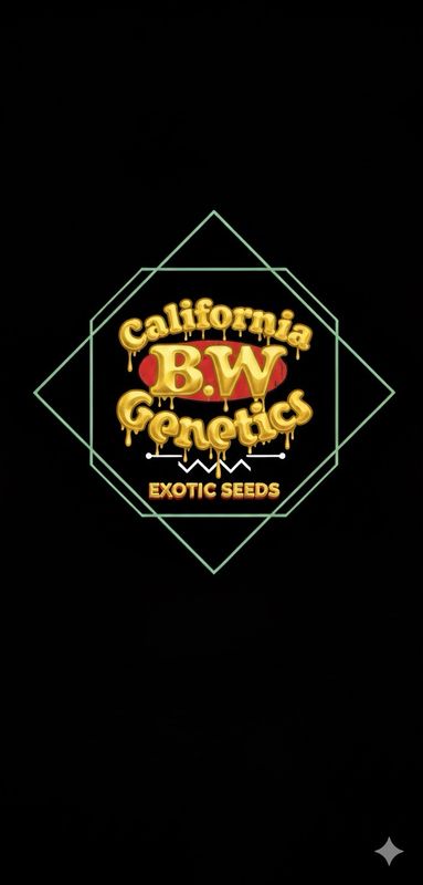 Slurricane X Black Magic Fem Qty 5 BOGO NOT APPLICABLE