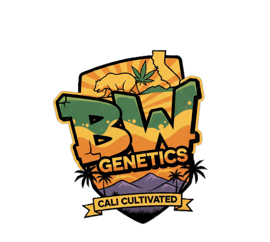 Banana Ice Pops #1 S1 Fem 5 BOGO Not Applicable