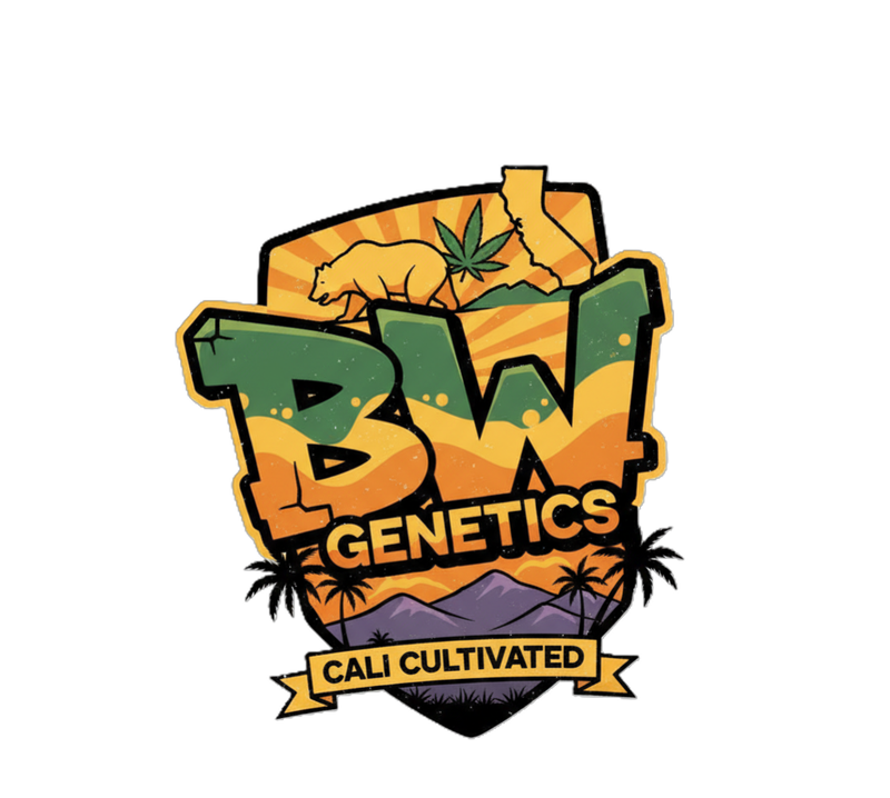 Banana Ice Pops #1 S1 Fem 5 BOGO Not Applicable