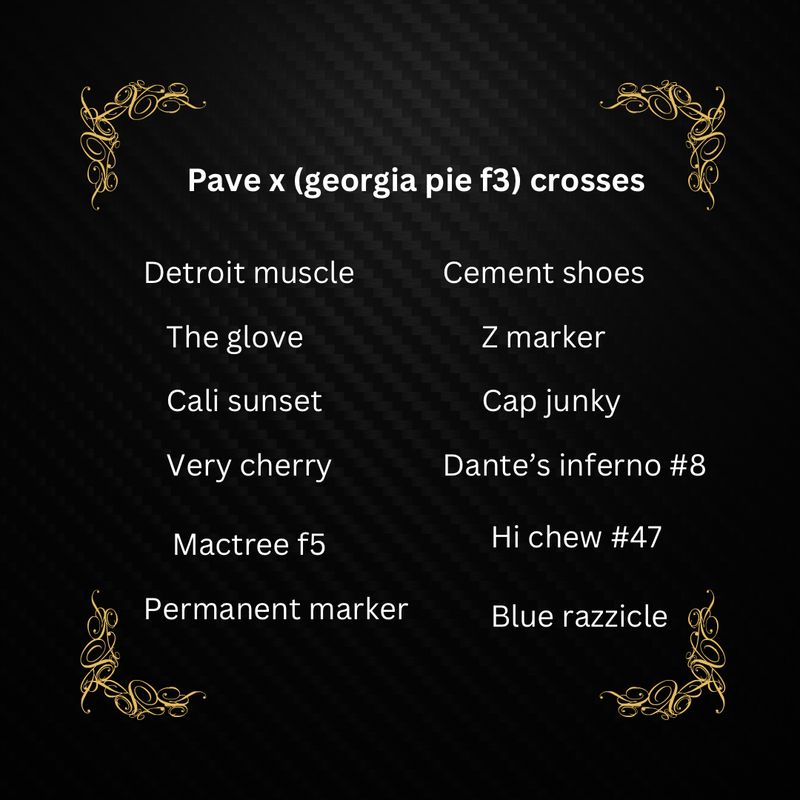 Pave X (Georgia Pie F3) Crosses Qty 5 Regulars