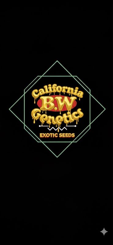 Hawaiian Rain X Z Pie Regulars Qty 5