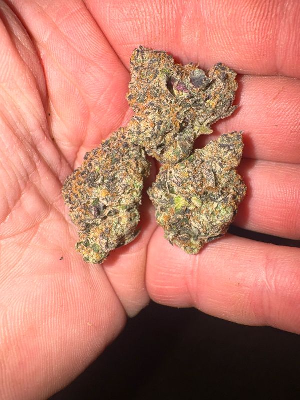 Forbidden Cherries Fem Qty 5 BOGO Not APPLICABLE