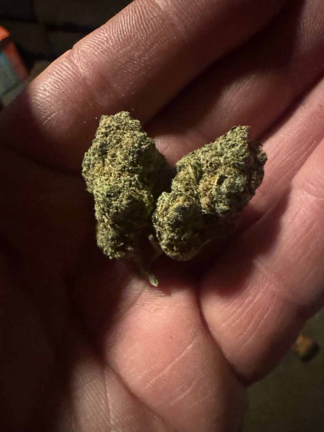 Superboof X Very Cherry Regulars Qty 5