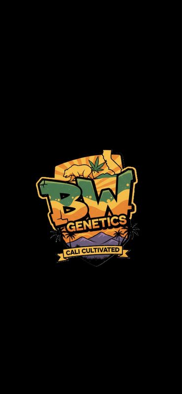 Winter Sunset #12 Z Pie Regulars Qty 5 Special!!