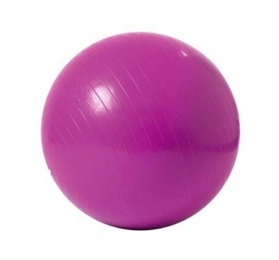 Balón Fisiológico 65 Cm Esferodinamia Fit Bal REFORZADO Balón Fisiológico 65 Cm Esferodinamia Fit Bal REFORZADO