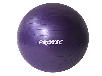 Balón Fisiológico 85 Cm Esferodinamia Fit Ball + inflador Balón Fisiológico 85 Cm Esferodinamia Fit Ball + inflador