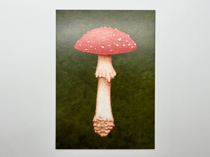 Amanita Mascara Limited Edition Mini Print