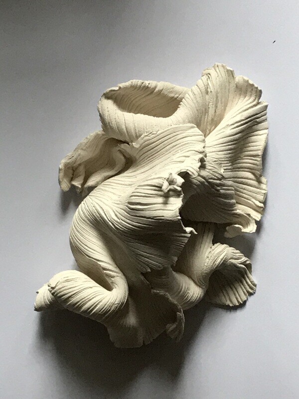 Crumpled, Torn, Still Beautiful