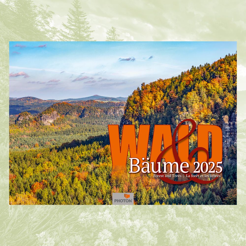 WALD & BÄUME 2025