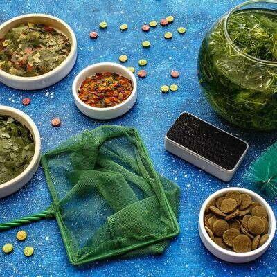 ALIMENTOS, EQUIPOS Y OTROS