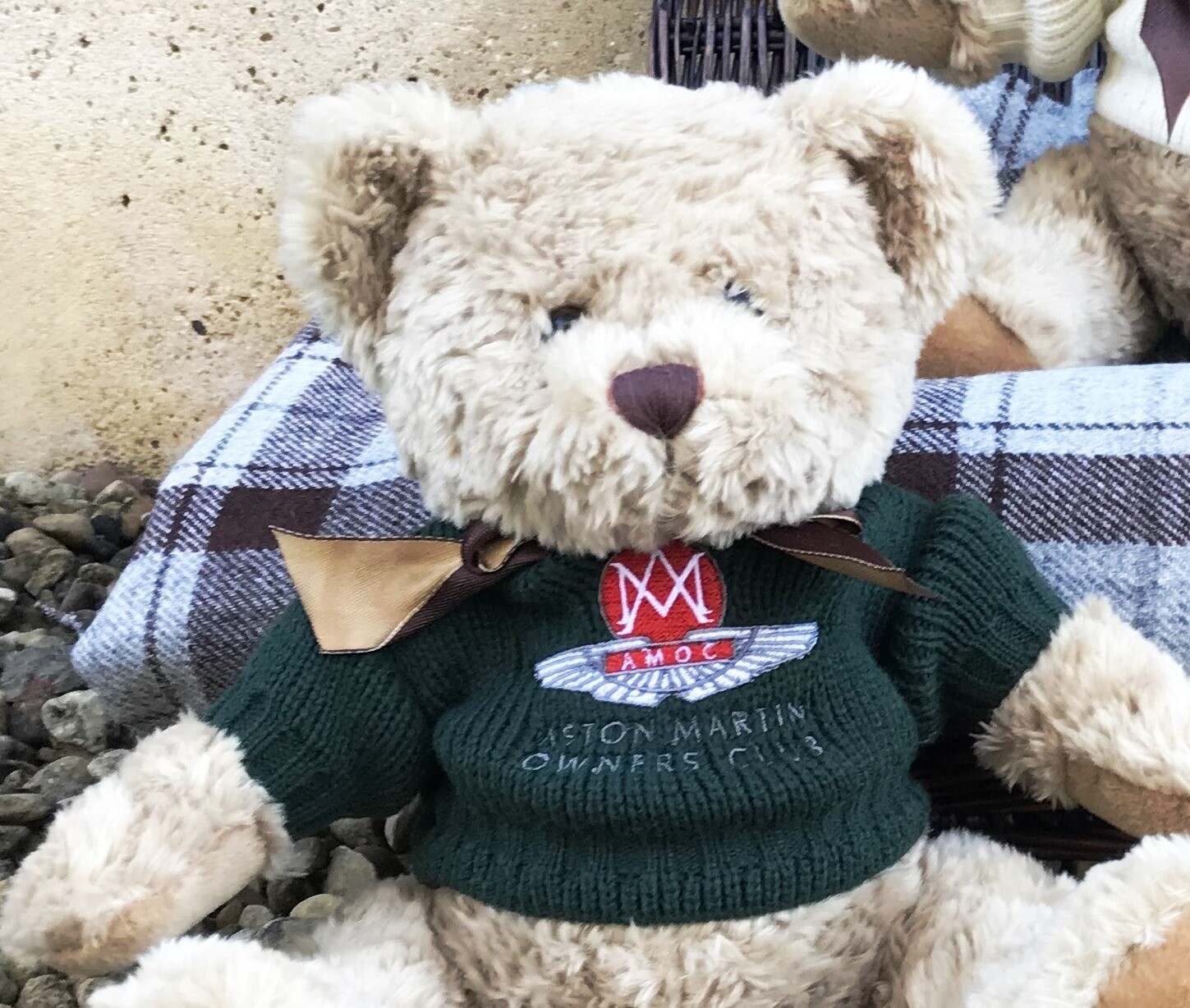 Reserve yours now: Sandringham Teddy (Edward), Jumper Colour: Louis in Green Jumper