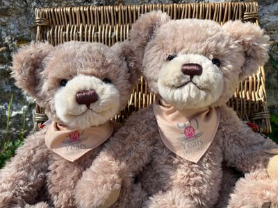 Limited Edition 90th Anniversary Bear: Morris