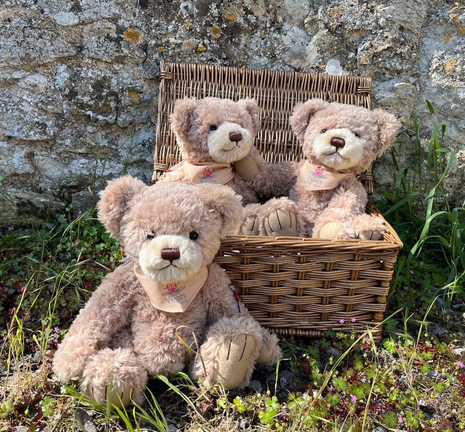 Limited Edition 90th Anniversary Bear: Morris