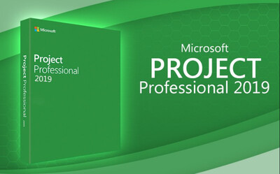 Microsoft® Project Pro 2019 avec DVD Français.