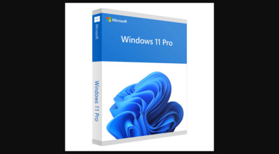 Licence clé Windows 11 Professionnel