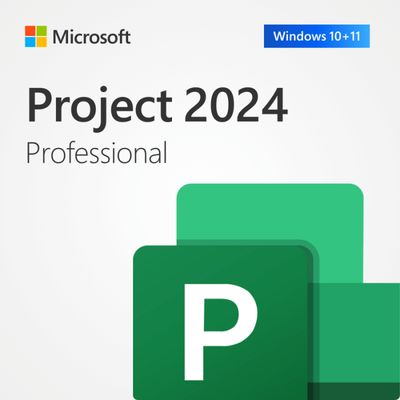 Microsoft Project 2024 Professionnel