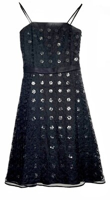 Black Embroidered Sequins Dress