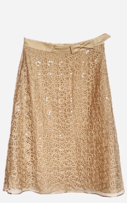 Silk Embroidered Skirt