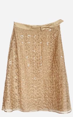 Silk Embroidered Skirt Silk Embroidered Skirt