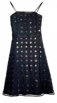 Black Embroidered Silk Organza Dress with Sequin Detail
