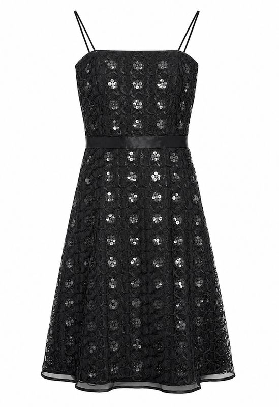 Black Embroidered Silk Organza Dress with Sequin Detail Black Embroidered Silk Organza Dress with Sequin Detail
