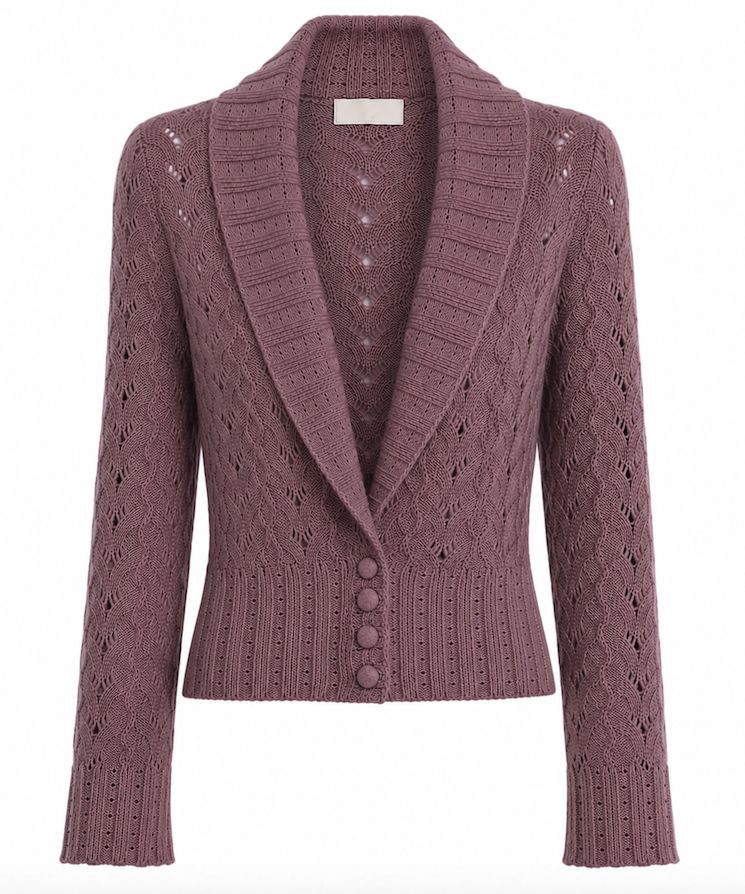 Lacy Knit Shawl Collar Cardigan Lacy Knit Shawl Collar Cardigan