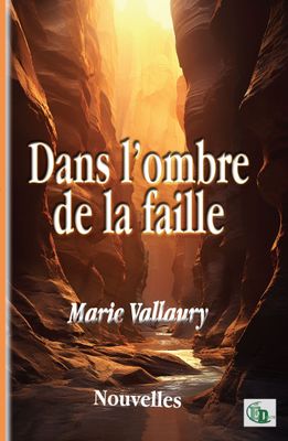 Dans l'ombre de la faille