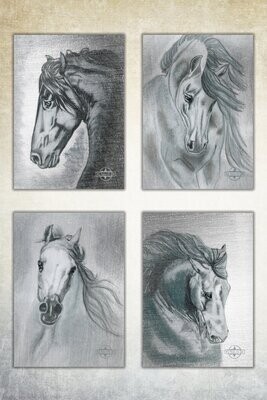 Poster-Set "Horses - Silver Edition"