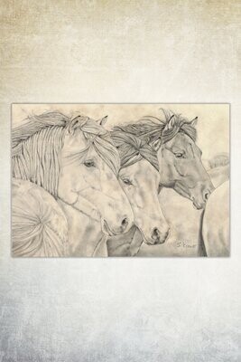 Kunstdruck Vintage #1 Wild Horses