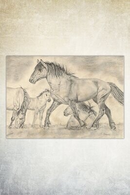 Kunstdruck Vintage #6 Proud Stallion