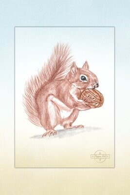 Kunst: Tiere für Kids #3 Gieriges Eichhörnchen
