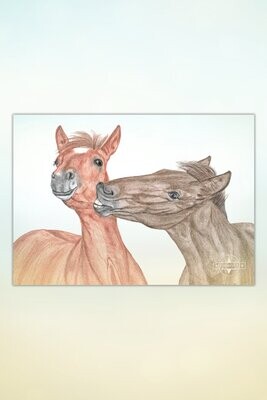 Kunst: Pferde für Kids #1 Geschwisterliebe