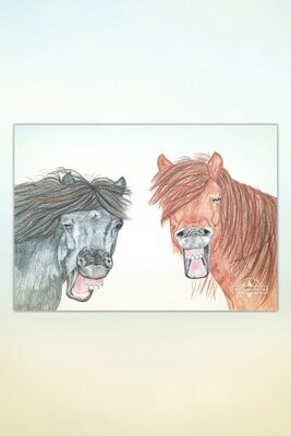 Kunst: Pferde für Kids #5 Lustige Shettys