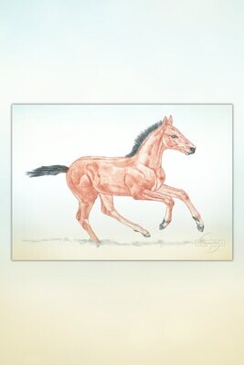 Kunst: Pferde für Kids #12 Auf Entdeckungstour