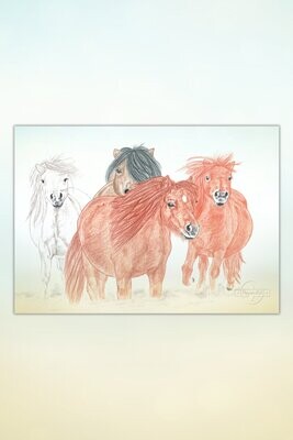 Kunst: Pferde für Kids #15 Shetty-Horde