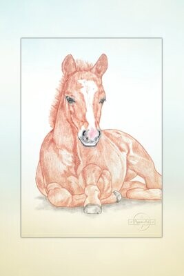 Kunst: Pferde für Kids #19 Entspanntes Fohlen